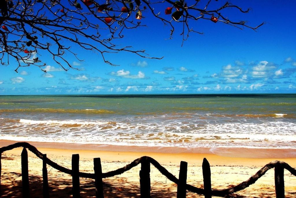 Вилла Paraiso Da Falesia Em Cumuruxatiba Com Vista Excepcional Para O Mar Экстерьер фото